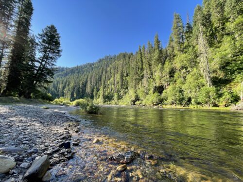 Clearwater — Lolo Creek Timber Sales