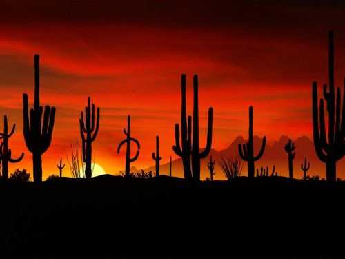 Sonoran Desert National Monument Followup Case
