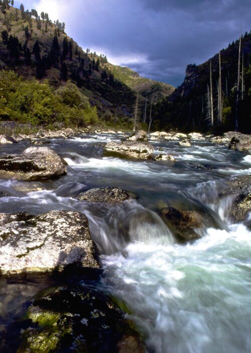 Protecting Selway Wild and Scenic Values