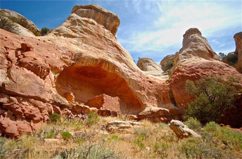 Canyon of the Ancients Grazing