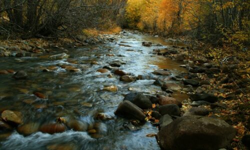 Big Wood River Flows
