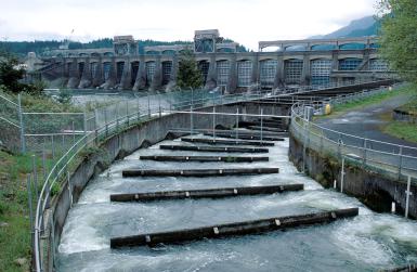 Bonneville Power Administration: Ratemaking