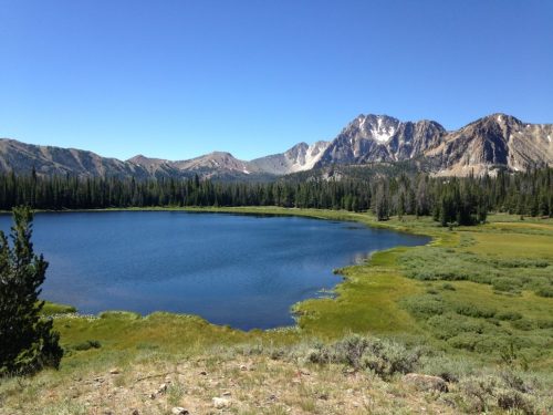 Grazing on Idaho’s East Fork of the Salmon