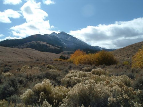 Mahogany Creek diversion
