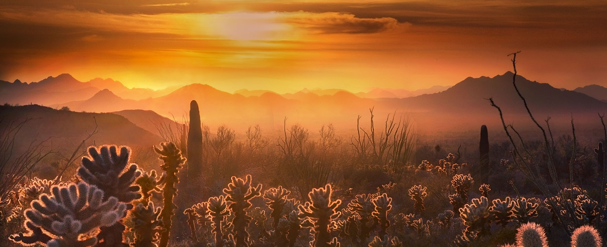 Sonoran National Monument grazing