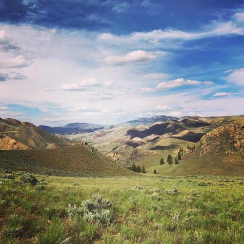 Greenfire: Verdancy on the East Fork Salmon River