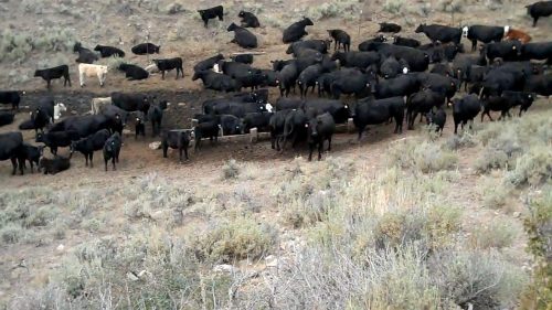 Idaho Clean Water Act Permitting