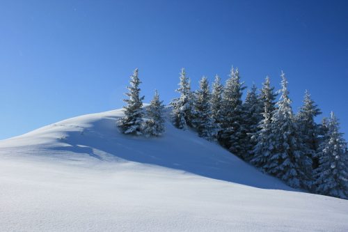 Winter Travel Plan Follow-up Case