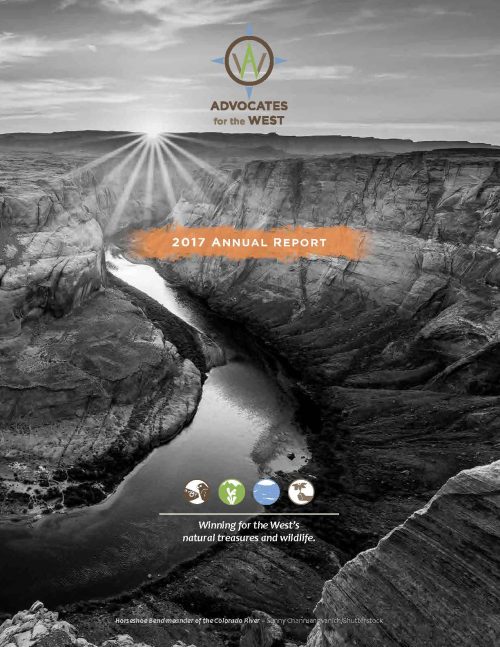 2017 Annual Report