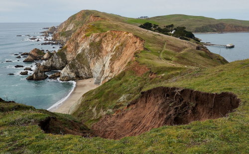 Point Reyes National Feedlot