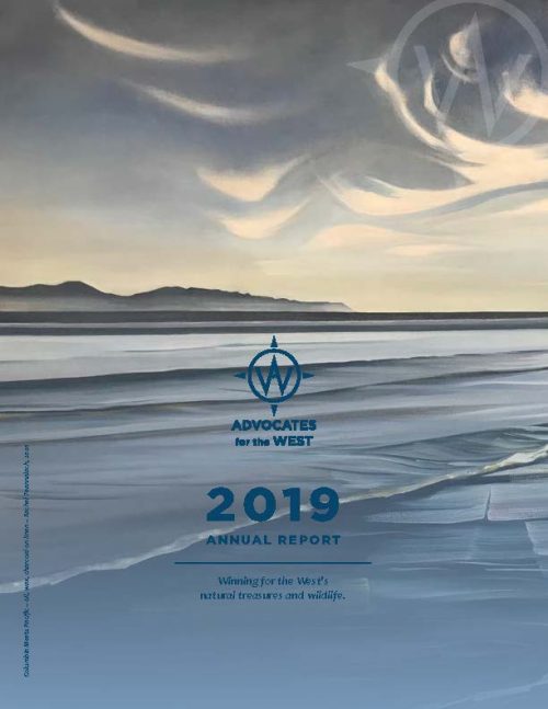 2019 Annual Report