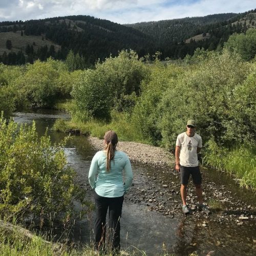 Victory! Halting Gold Exploration in Idaho’s Centennial Mountains
