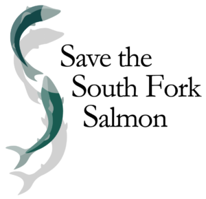 Save the South Fork Salmon