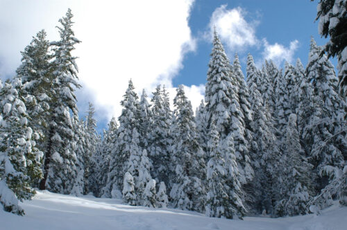 Stanislaus Winter Travel