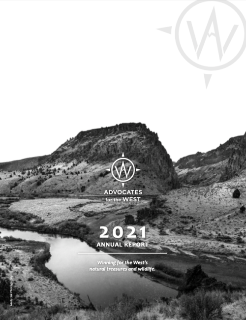2021 Annual Report