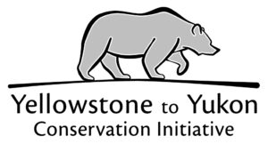 Yellowstone to Yukon Conservation Initiative