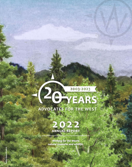 2022 Annual Report