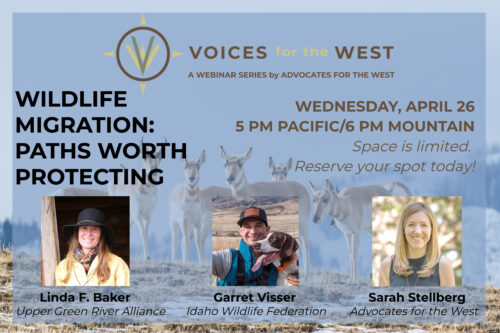 4-26-23 Voices for the West — Wildlife Migration: Paths Worth Protecting