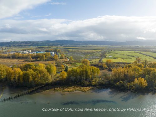 Protecting Port Westward Levee and Farmland from NEXT Refinery 
