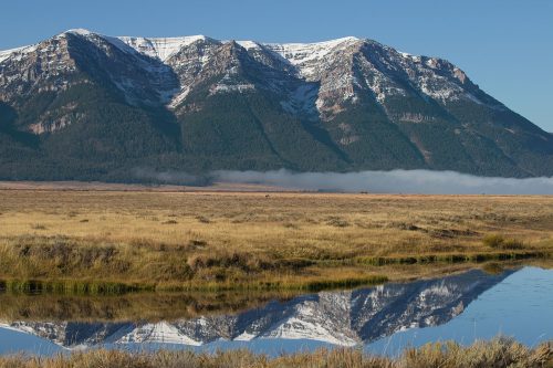 Red Rock Lakes National Wildlife Refuge Grazing Mismanagement