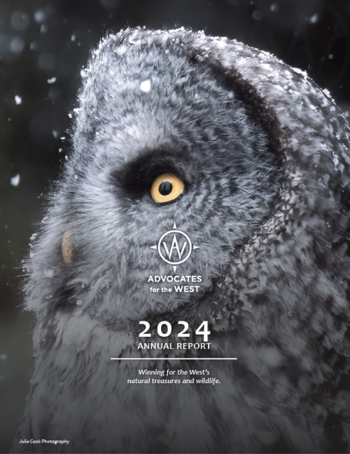 2024 Annual Report