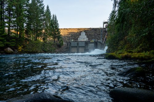 Eugene Water and Electric Board Endangered Species Act Violations