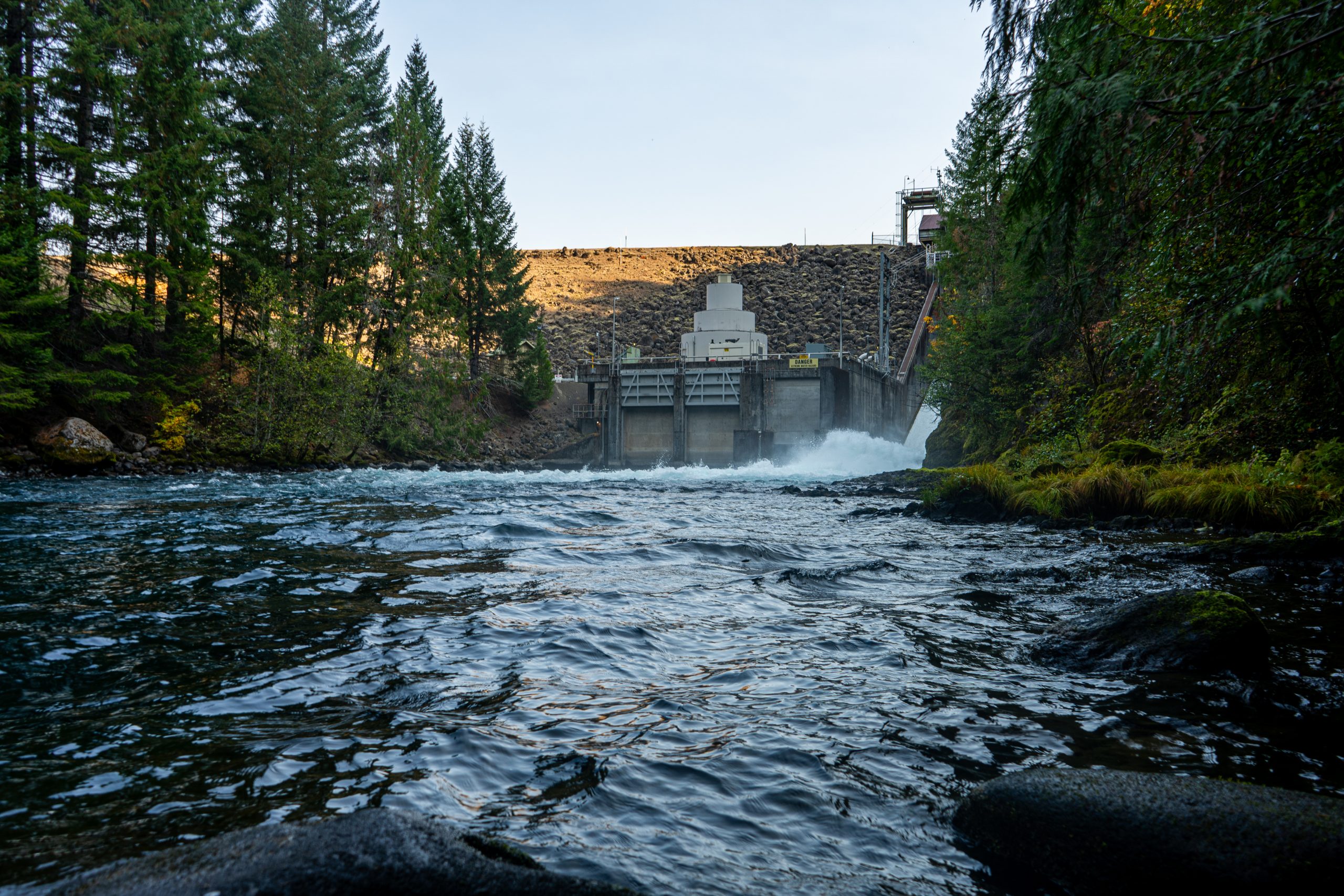 Eugene Water and Electric Board Endangered Species Act Violations