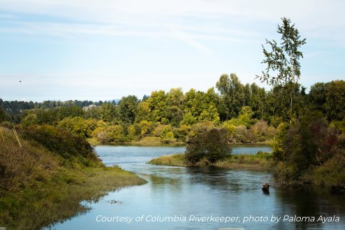 NEXT Refinery Clean Water Act Section 401 Certification