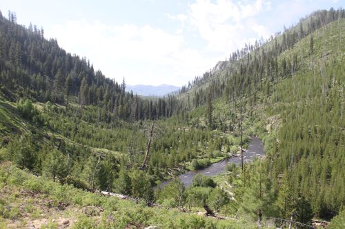 Conservation Groups Challenge Air Quality Permit for Stibnite Gold Mine over Threat to Public Health
