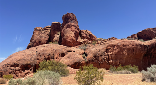 BLM Again Considering Four-lane Highway through Utah’s Red Cliffs National Conservation Area
