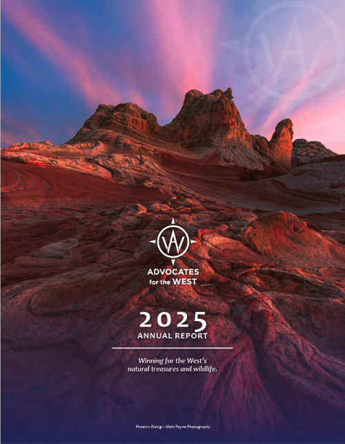 2025 Annual Report